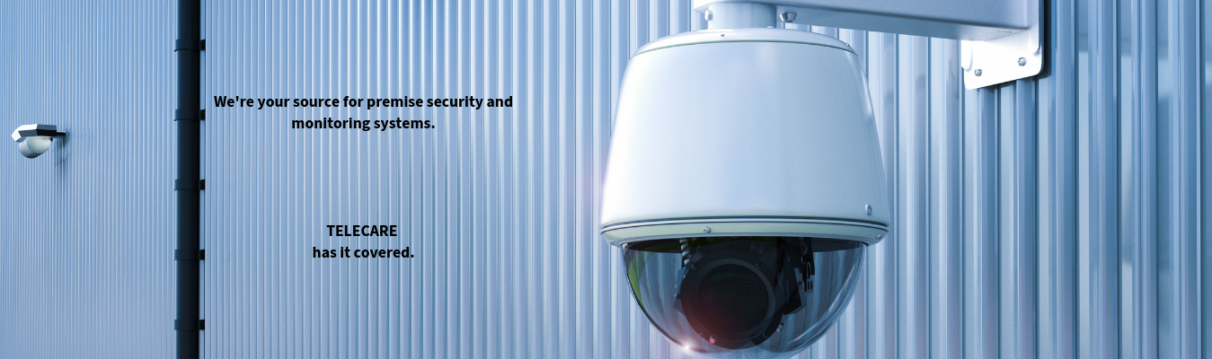 Security and Surveillance Services